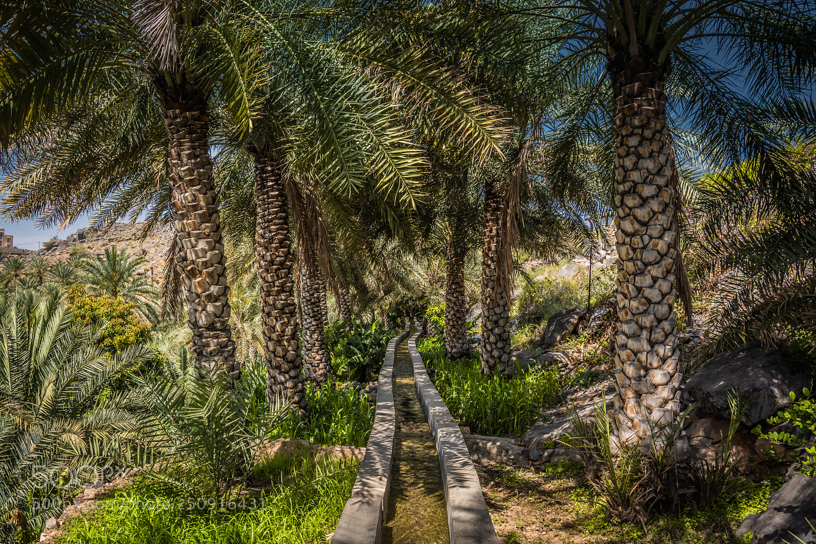 Nikon D7100 sample photo. Irrigation aflaj oman photography