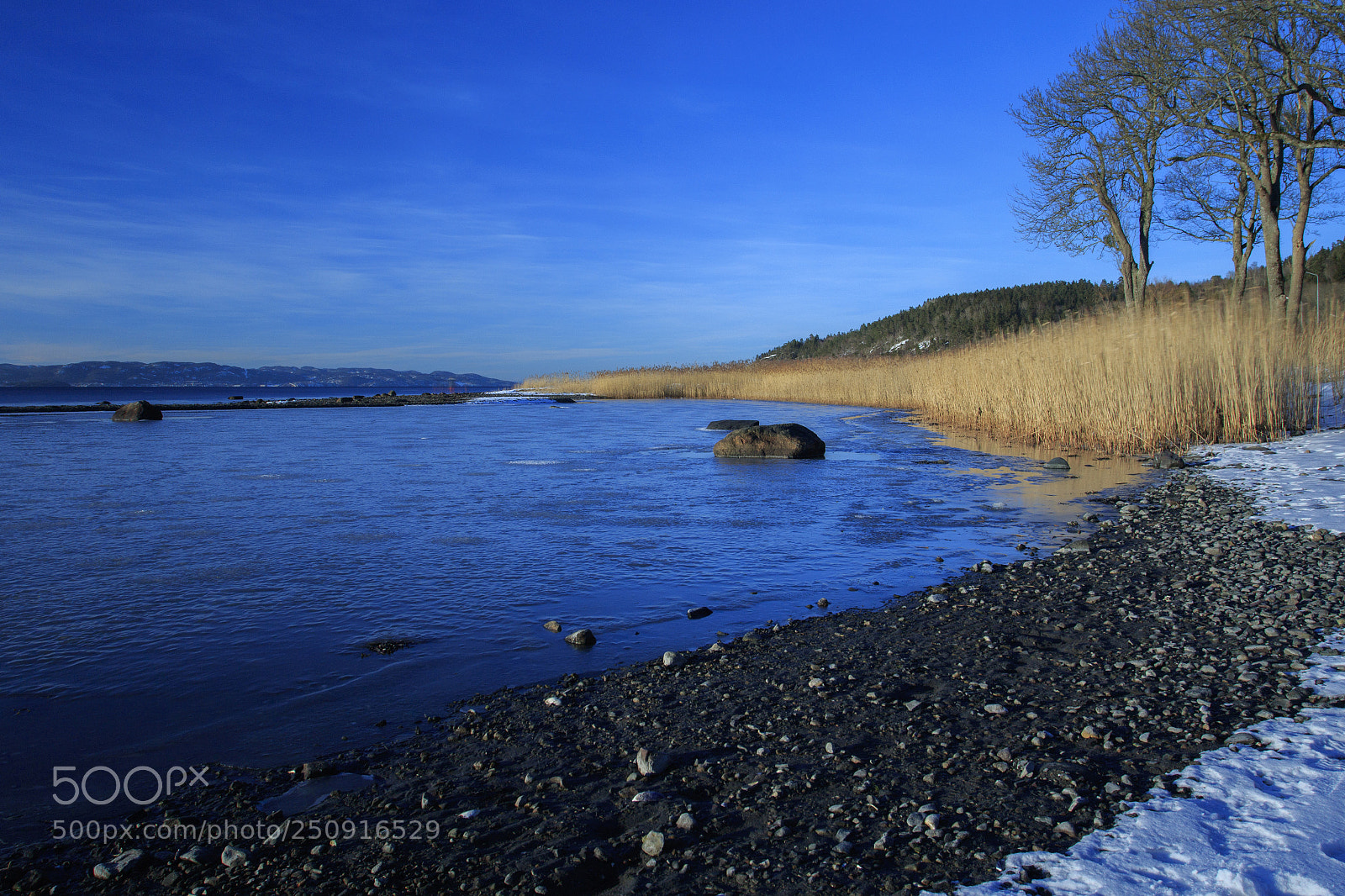 Canon EOS 7D Mark II sample photo. A photography