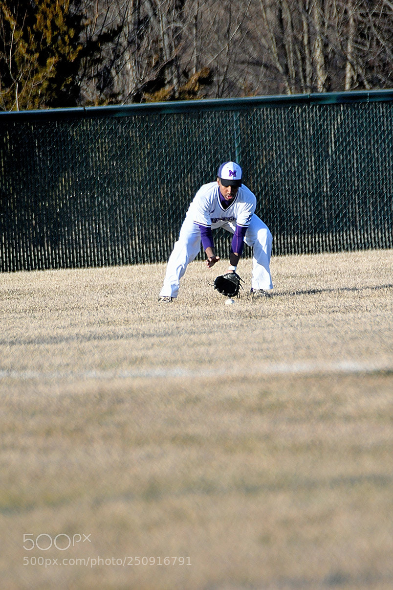 Nikon D500 sample photo. 3-22_0292.jpg photography