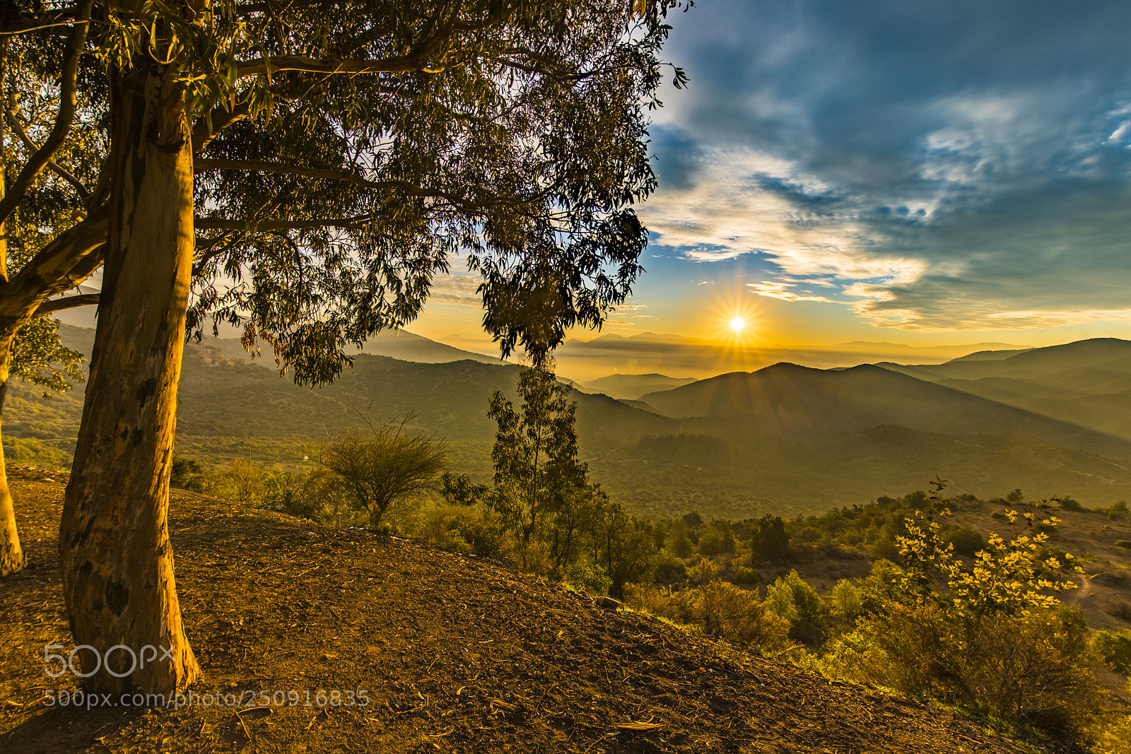 Canon EOS 5D Mark IV sample photo. Rancagua sunset photography