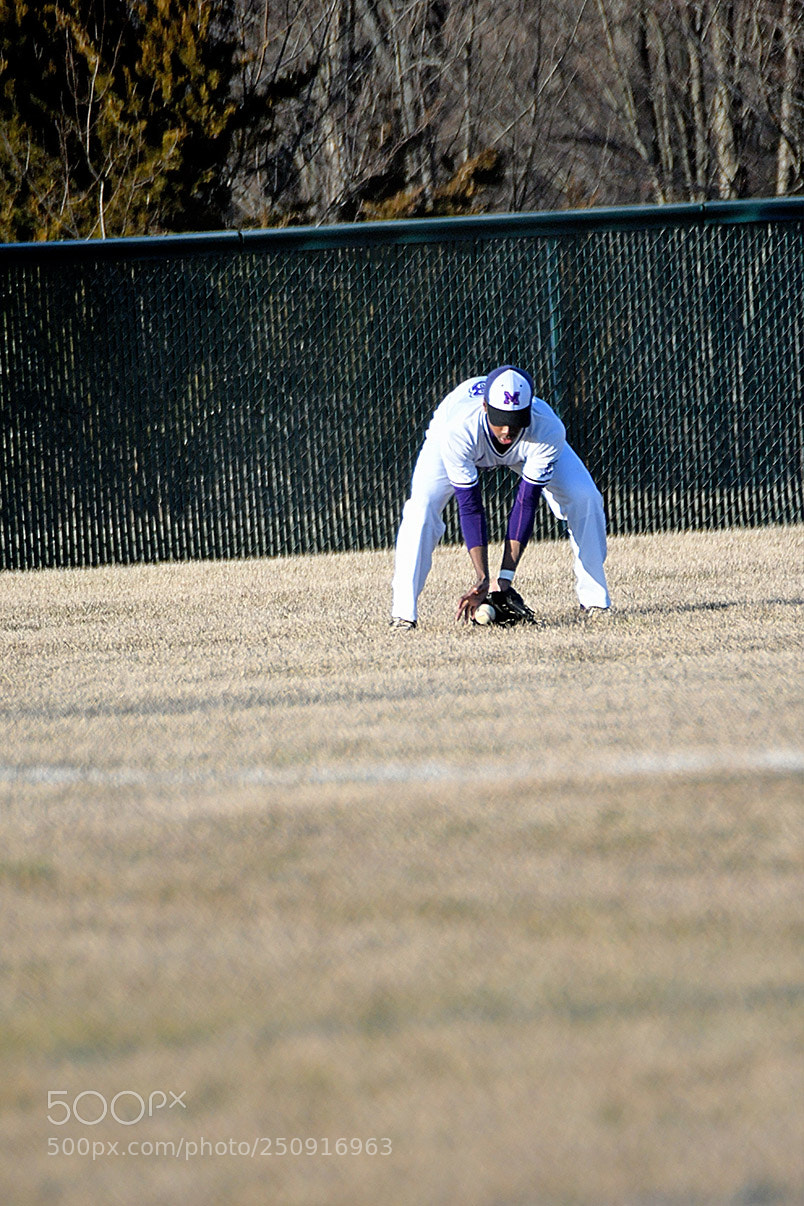 Nikon D500 sample photo. 3-22_0293.jpg photography