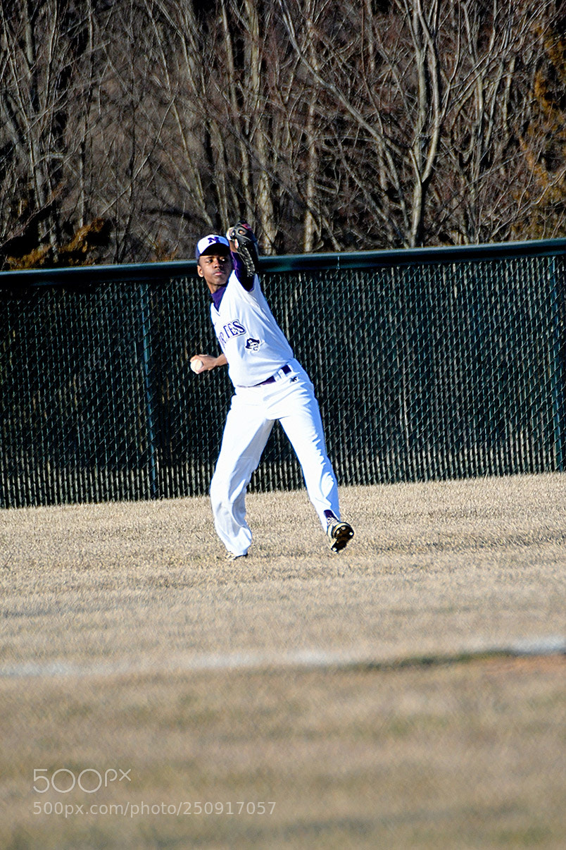 Nikon D500 sample photo. 3-22_0294.jpg photography