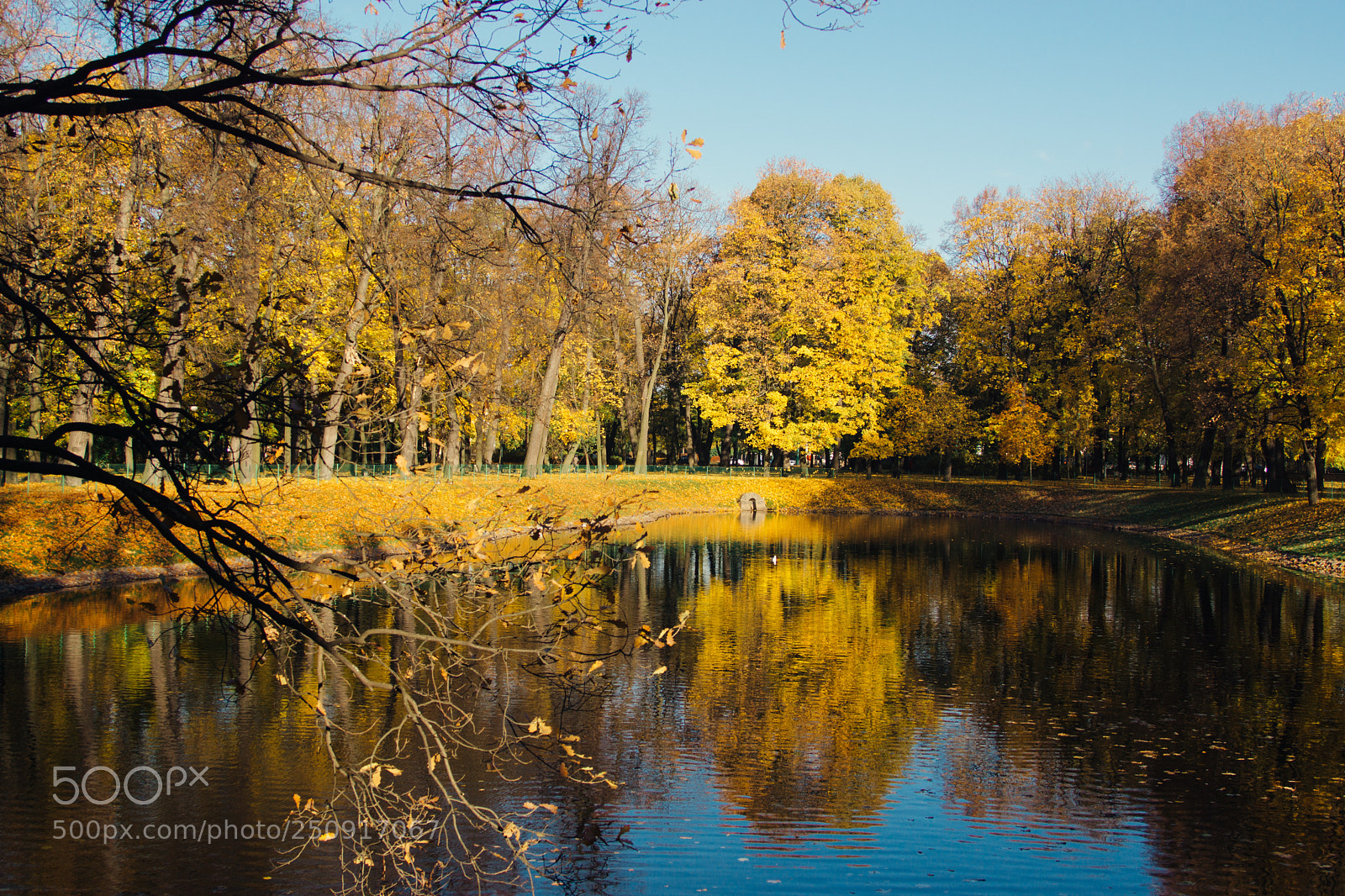 Sony SLT-A65 (SLT-A65V) sample photo. Autumn photography