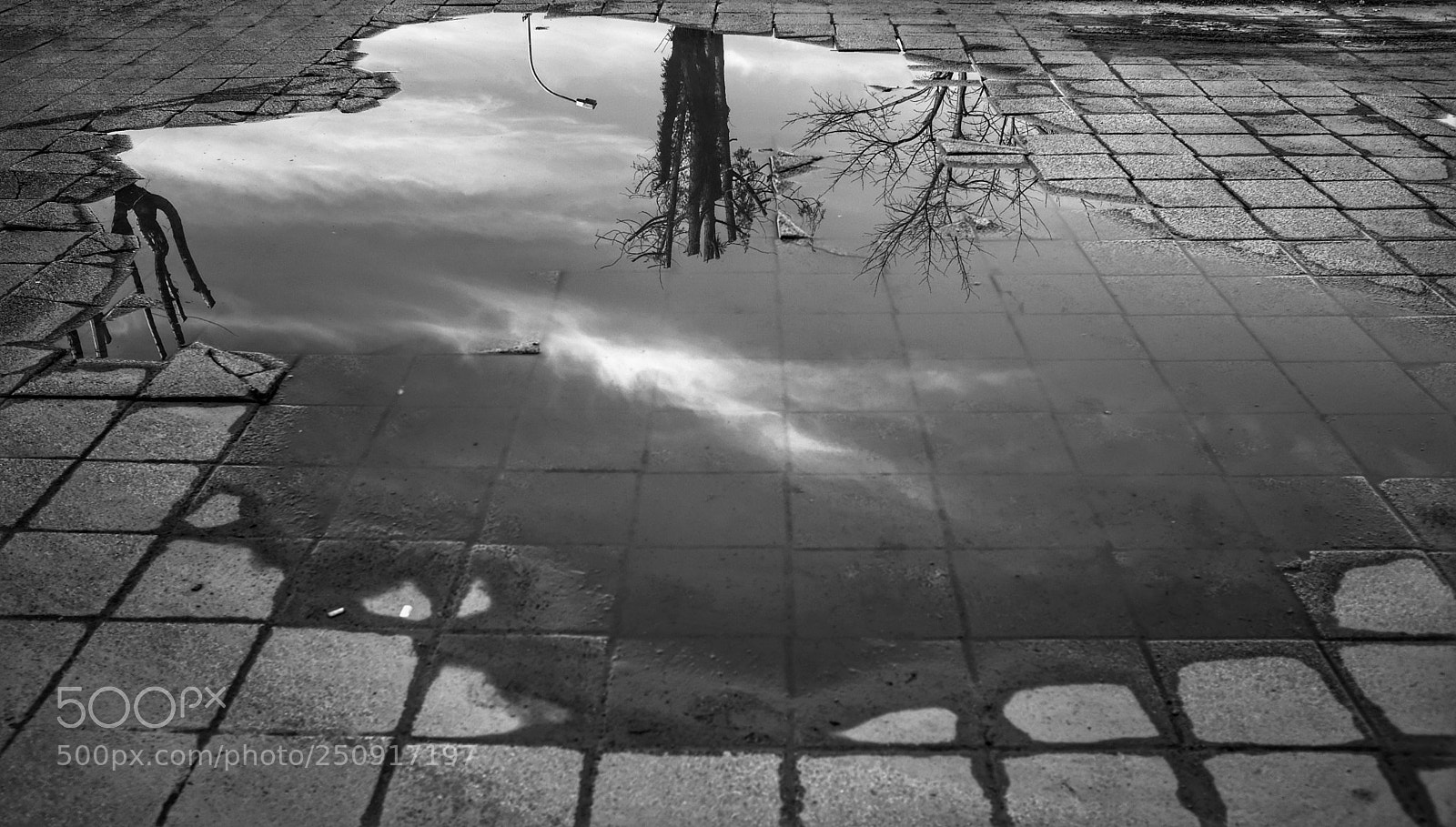 Fujifilm X100F sample photo. ☔️?
? x100f
#fujifilmtr  photography