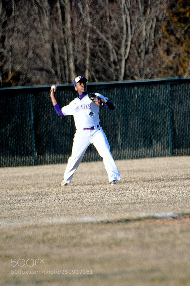 Nikon D500 sample photo. 3-22_0296.jpg photography