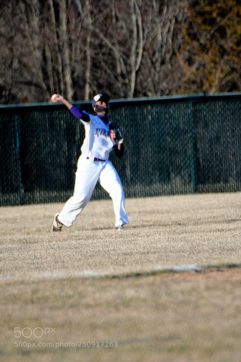 Nikon D500 sample photo. 3-22_0297.jpg photography