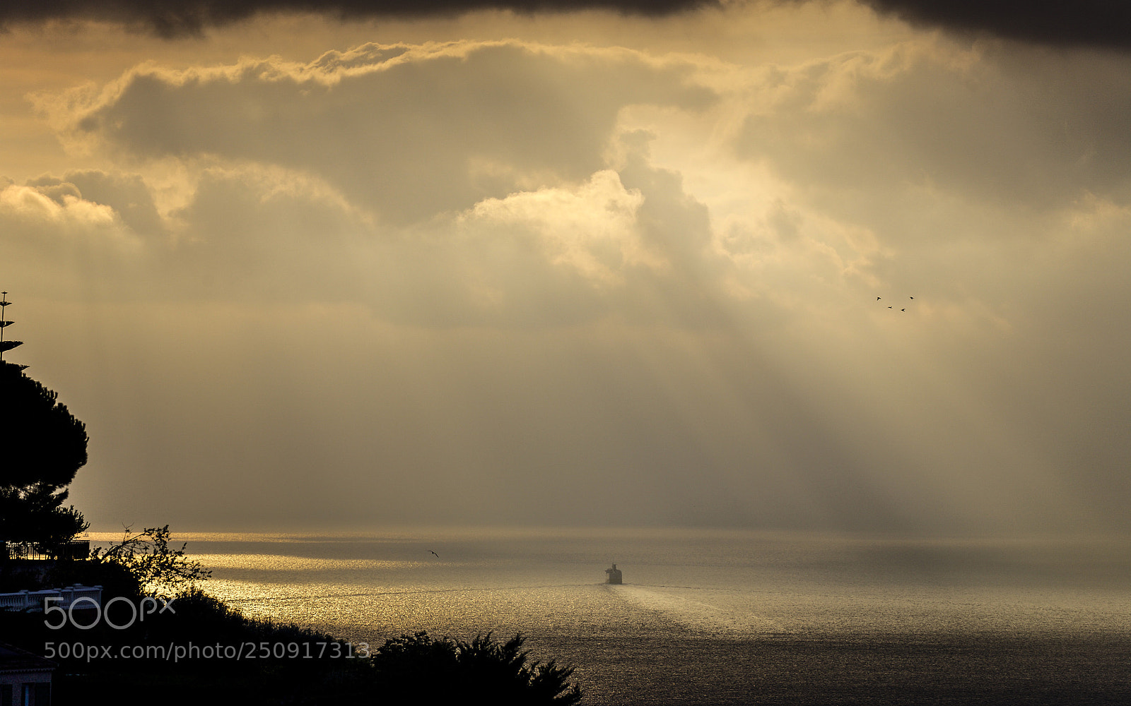 Canon EOS 5D sample photo. Sunlight photography
