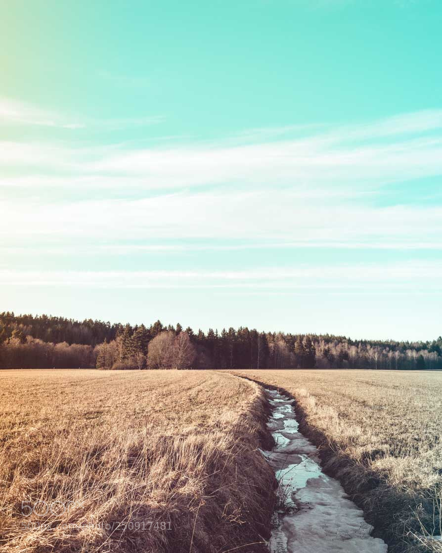 Nikon D7200 sample photo. Frozen creek photography