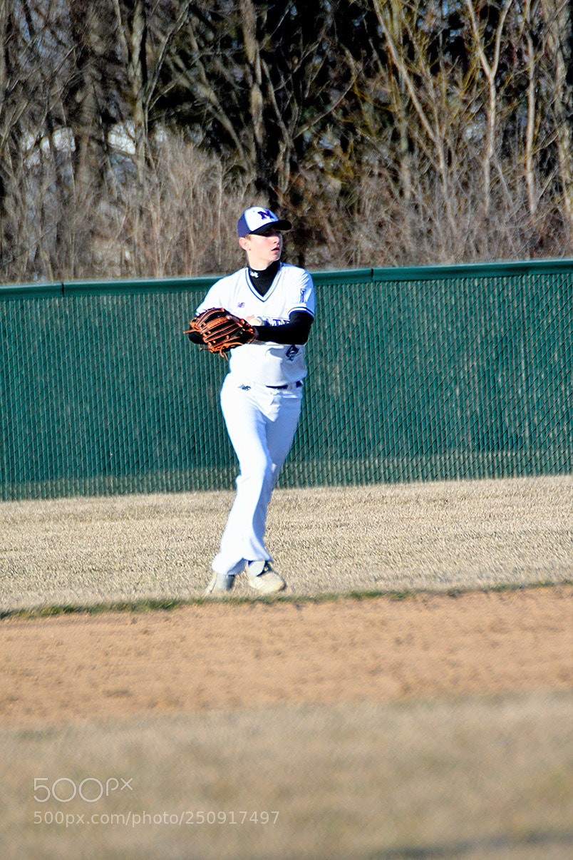 Nikon D500 sample photo. 3-22_0300.jpg photography