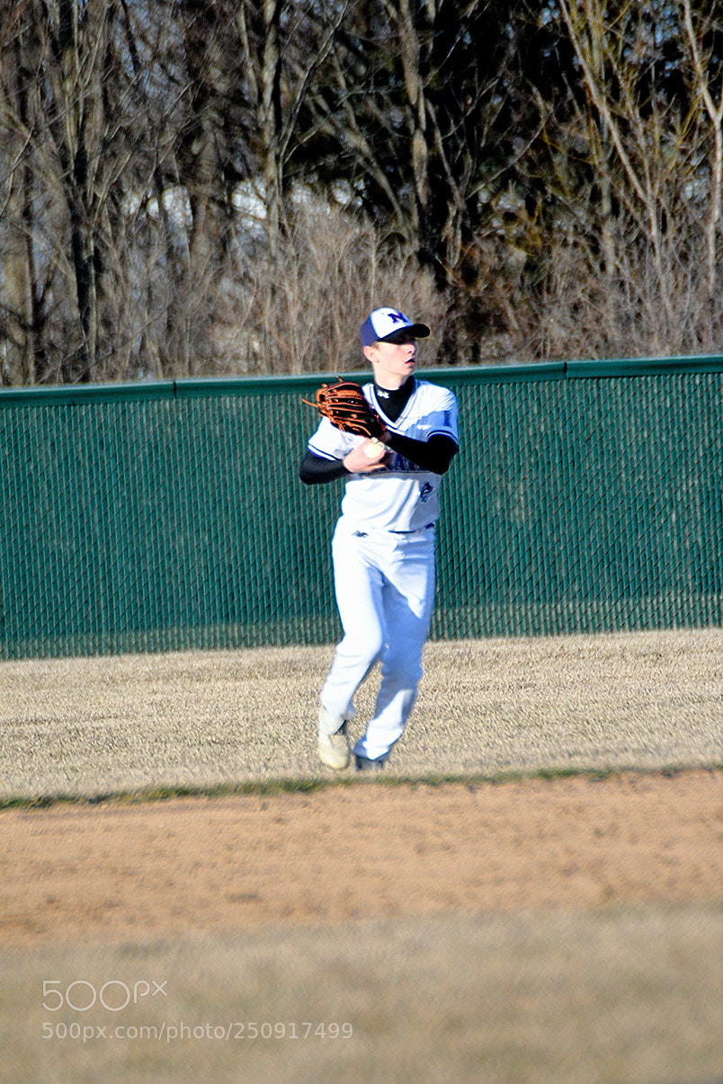 Nikon D500 sample photo. 3-22_0299.jpg photography