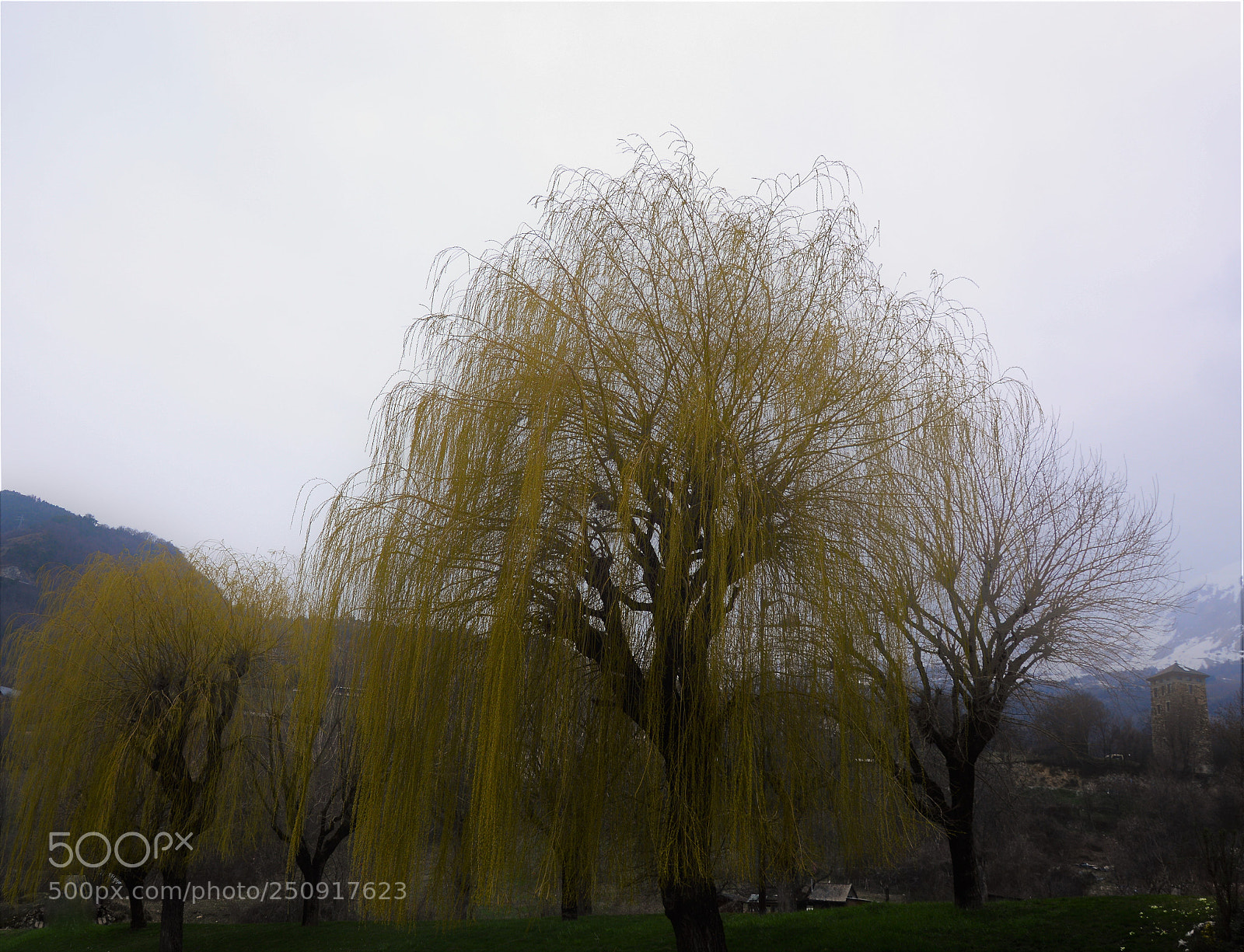 Nikon D3200 sample photo. Untitled photography