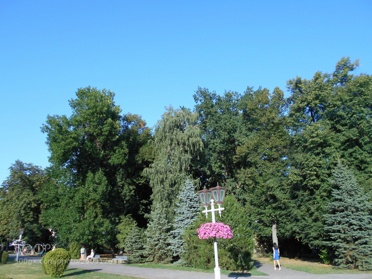 Nikon Coolpix A100 sample photo. Bc dceaorig photography
