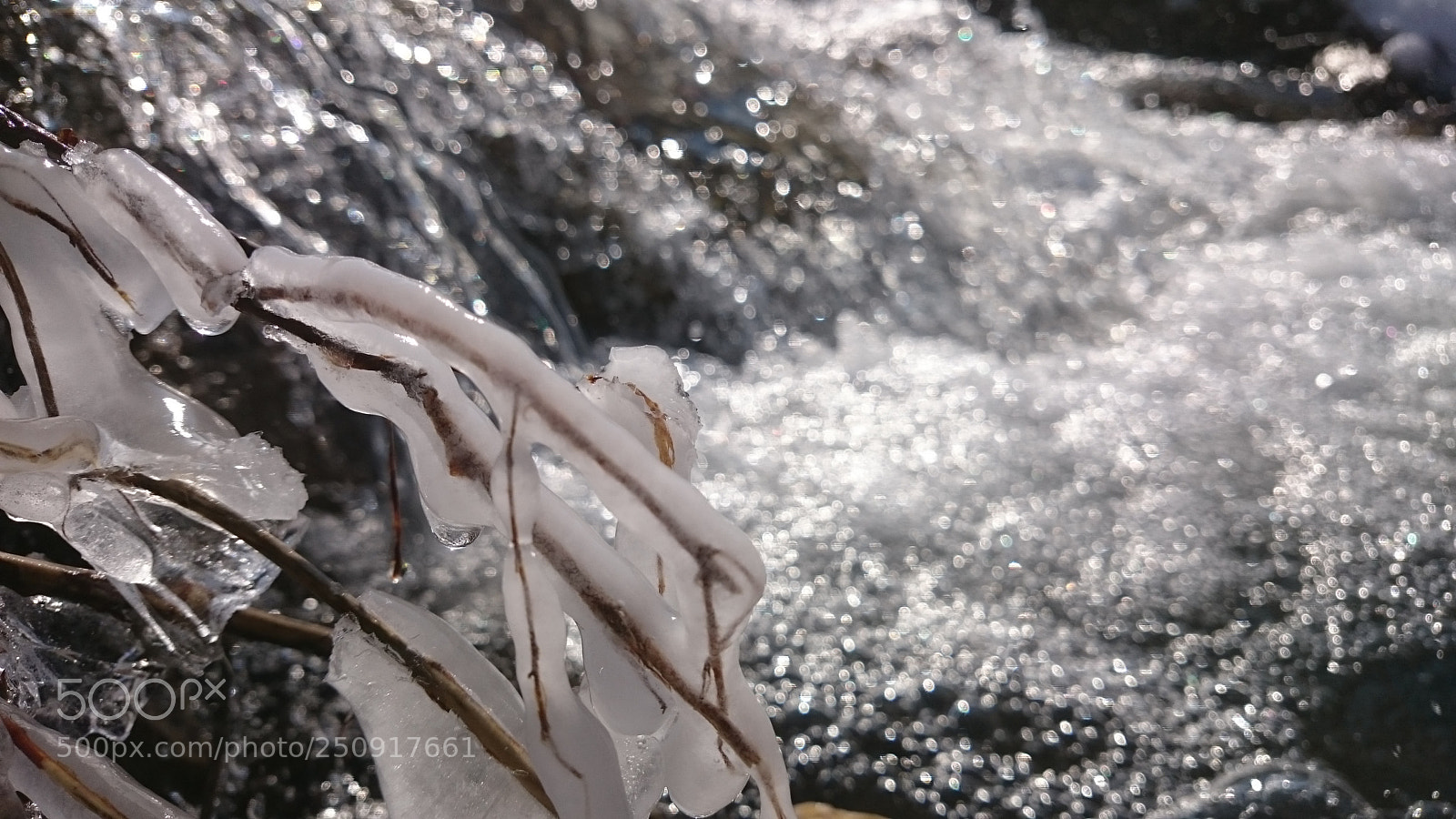 Sony Xperia Z2 sample photo. Frozen photography