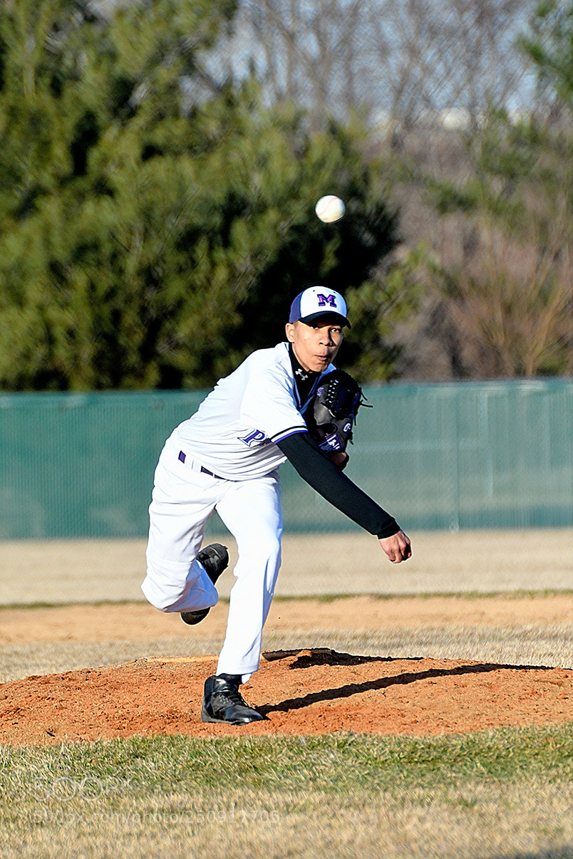 Nikon D500 sample photo. 3-22_0304.jpg photography