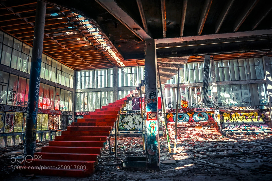 Sony a6000 sample photo. Red photography