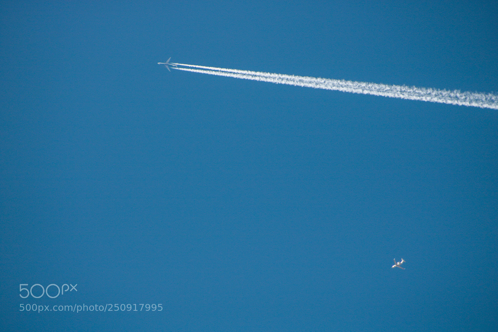 Canon EOS 750D (EOS Rebel T6i / EOS Kiss X8i) sample photo. Crossing paths photography