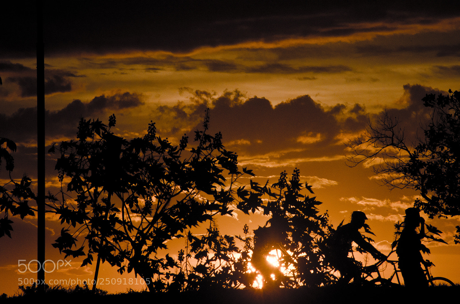 Nikon D5100 sample photo. Orla do gua ba photography