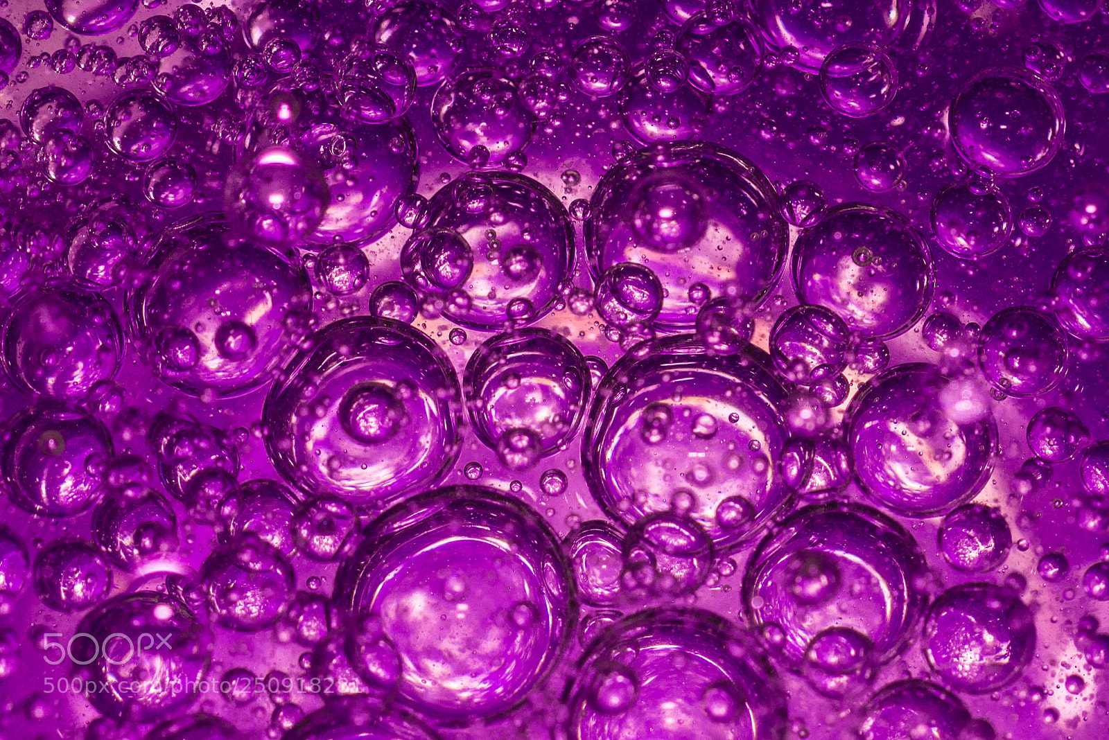 Nikon D610 sample photo. Purple volcano photography