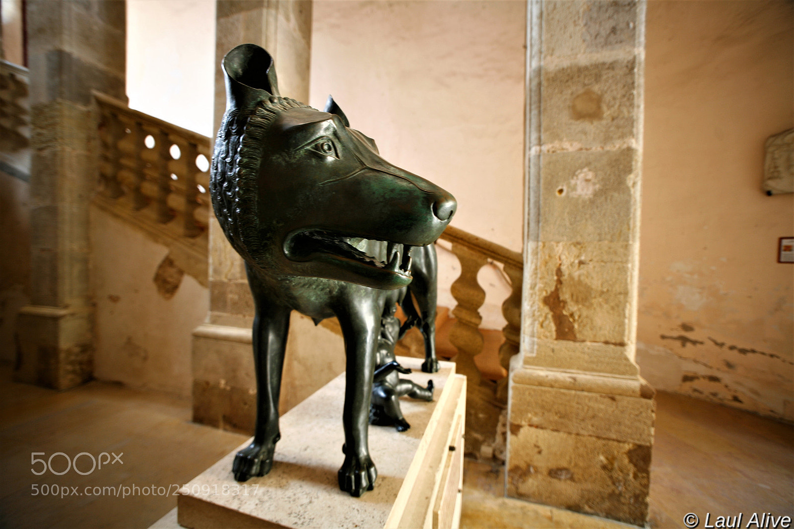Canon EOS 5D sample photo. Louve capitoline 2 photography