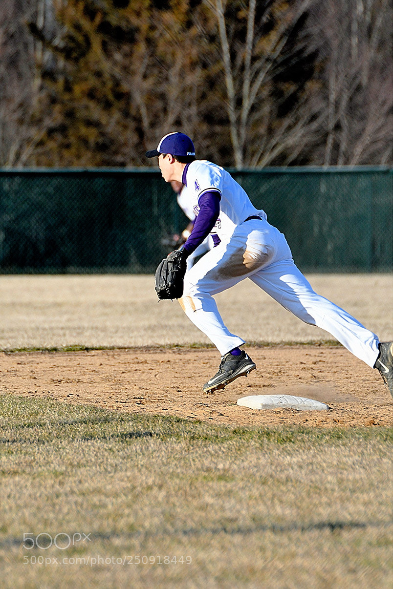 Nikon D500 sample photo. 3-22_0322.jpg photography