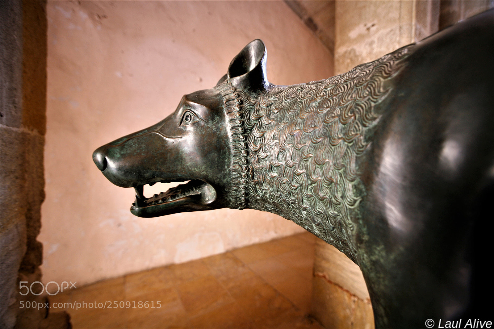Canon EOS 5D sample photo. Louve capitoline 3 photography