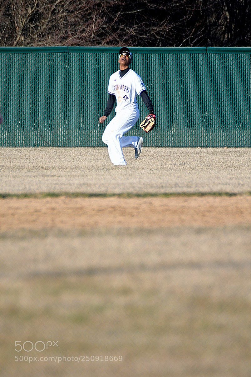 Nikon D500 sample photo. 3-22_0325.jpg photography