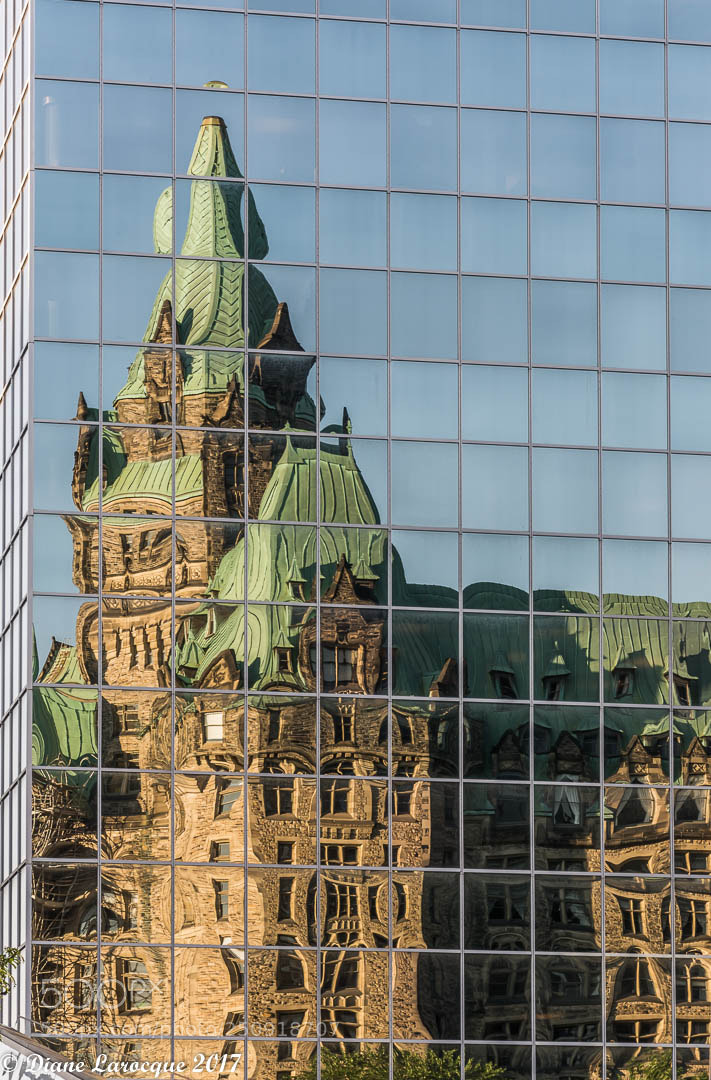 Nikon D7100 sample photo. Ottawa photography