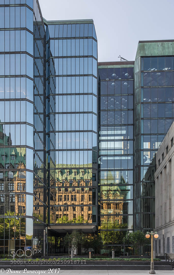 Nikon D7100 sample photo. Ottawa photography