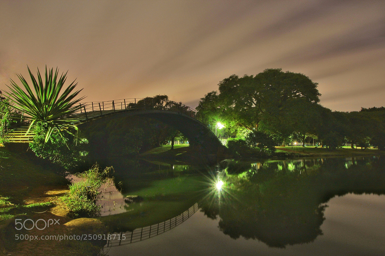 Canon EOS 1200D (EOS Rebel T5 / EOS Kiss X70 / EOS Hi) sample photo. Lonely lovely night photography