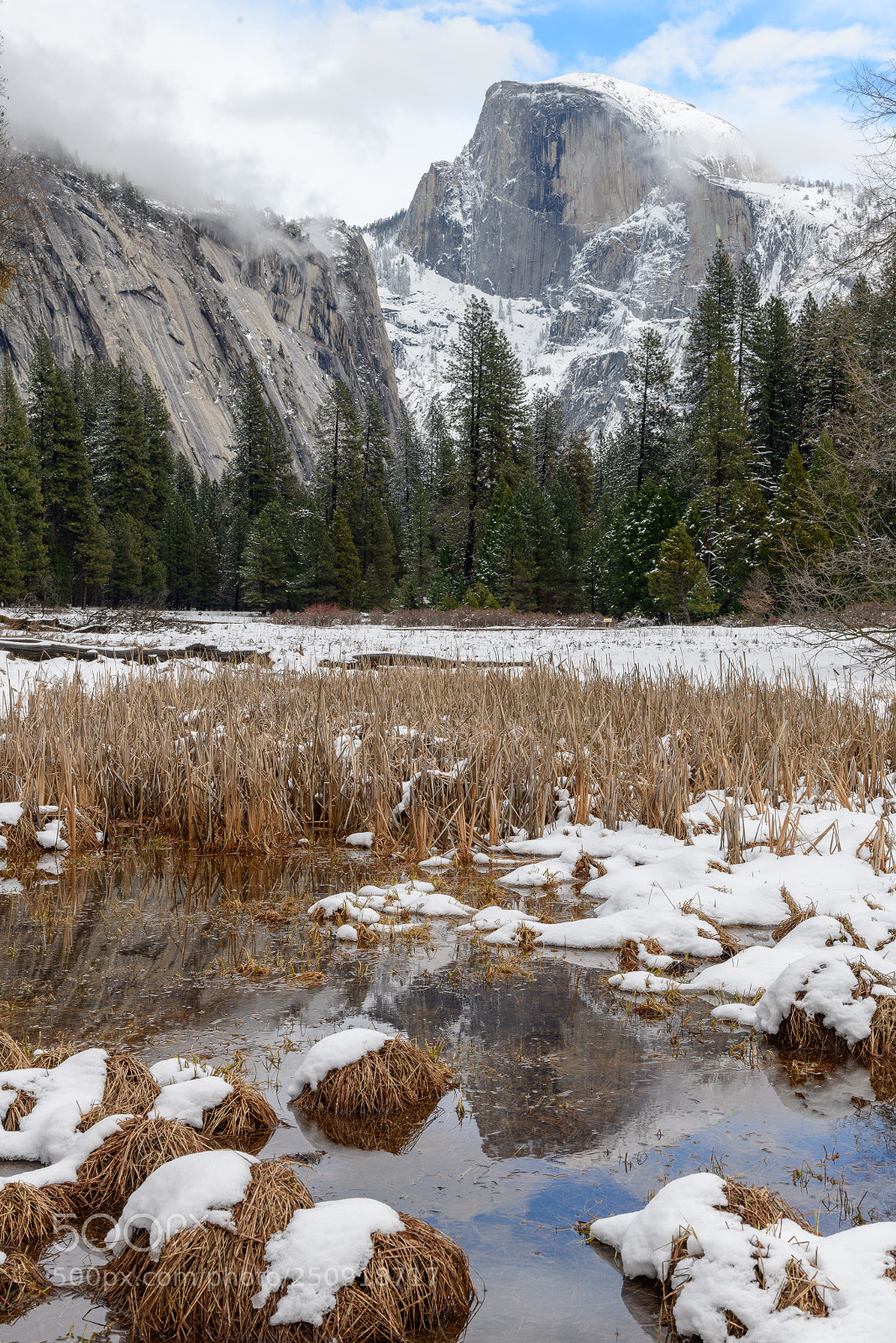 Nikon D850 sample photo. Halfdome reflection, yosemite national photography