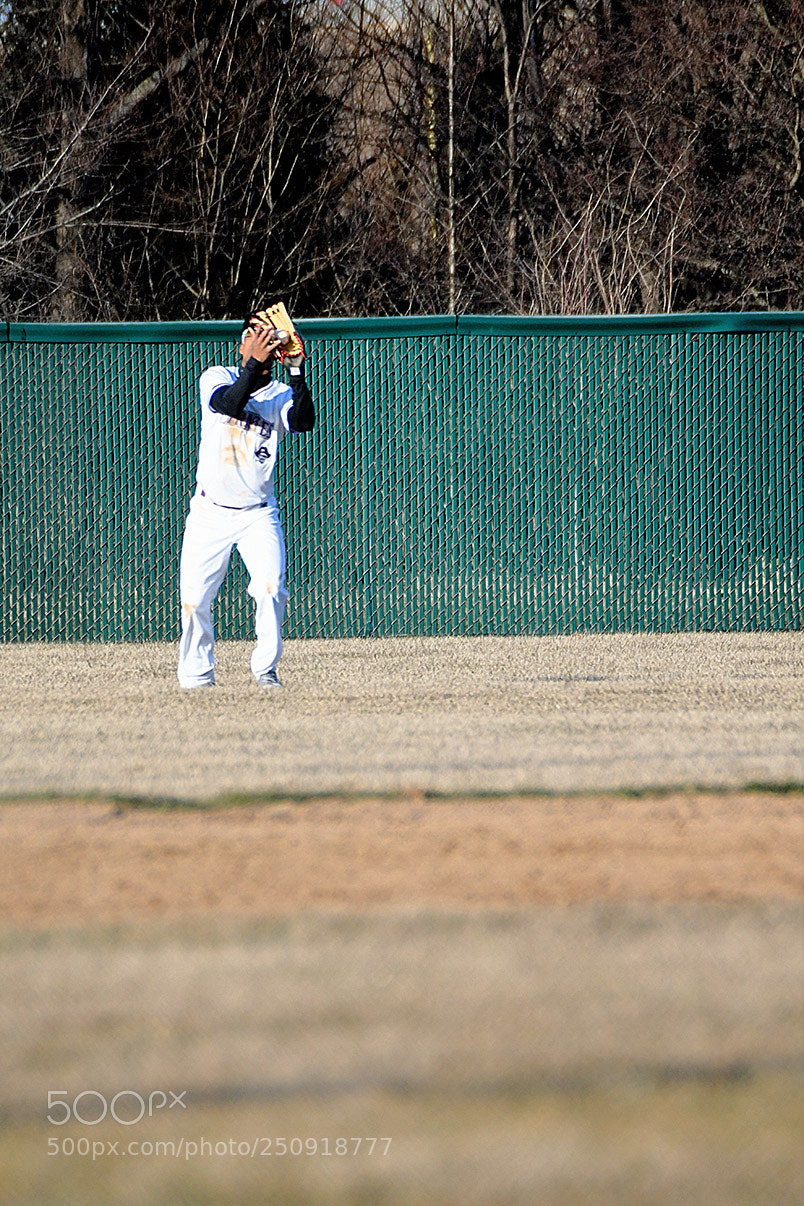 Nikon D500 sample photo. 3-22_0329.jpg photography