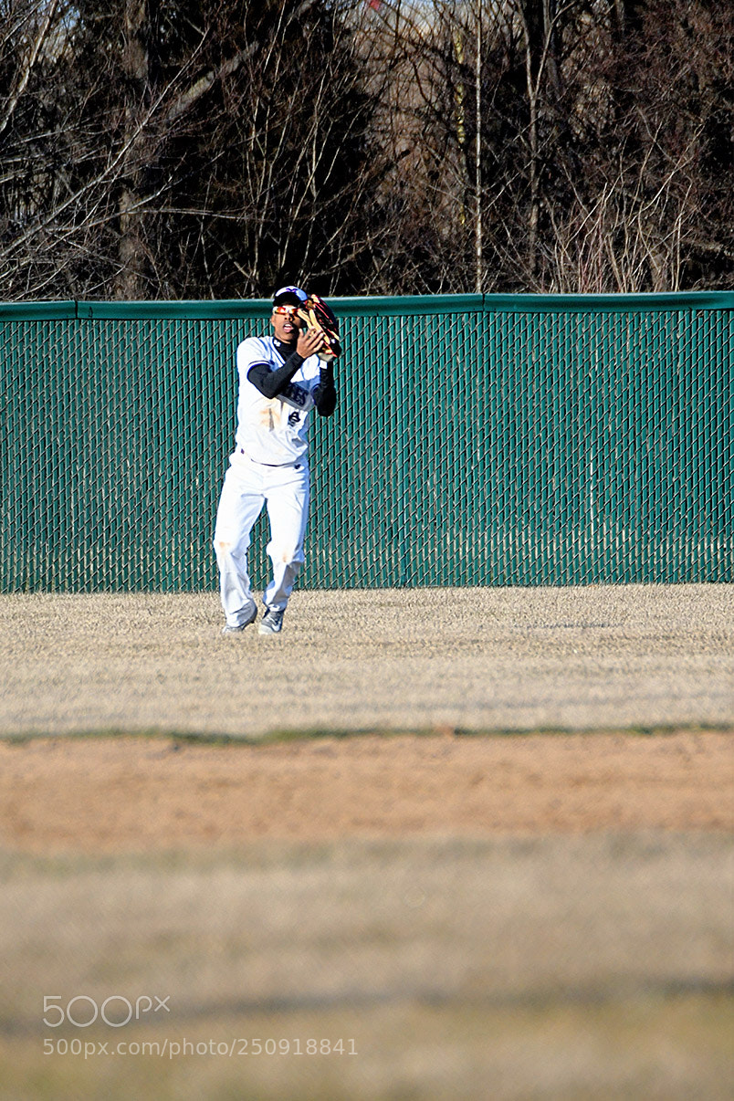 Nikon D500 sample photo. 3-22_0330.jpg photography