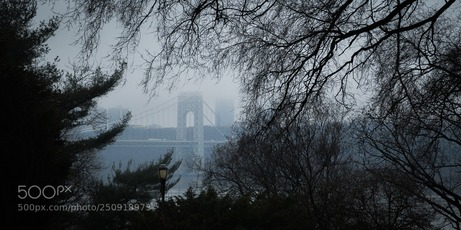 Nikon D5100 sample photo. From the fog photography
