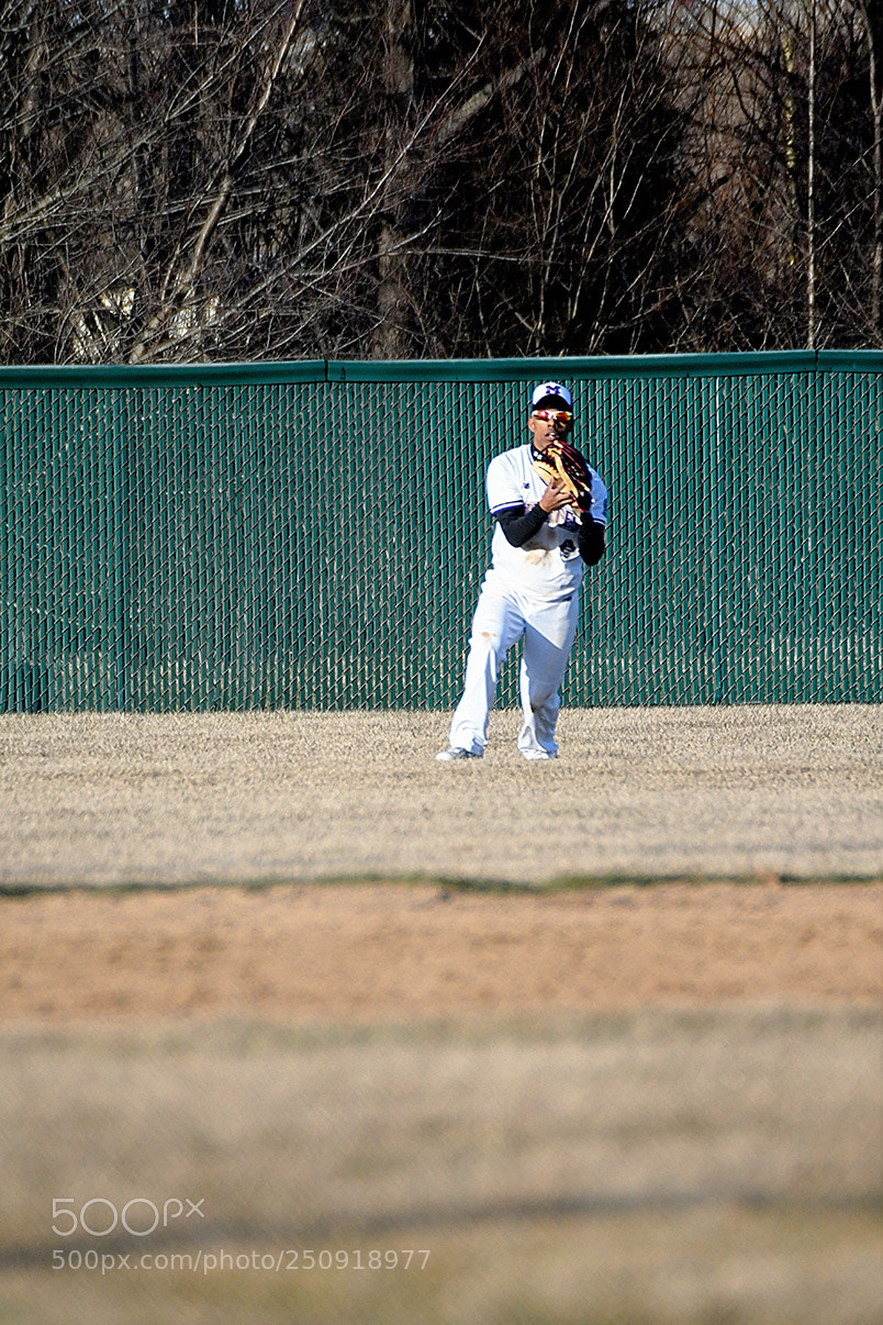 Nikon D500 sample photo. 3-22_0332.jpg photography