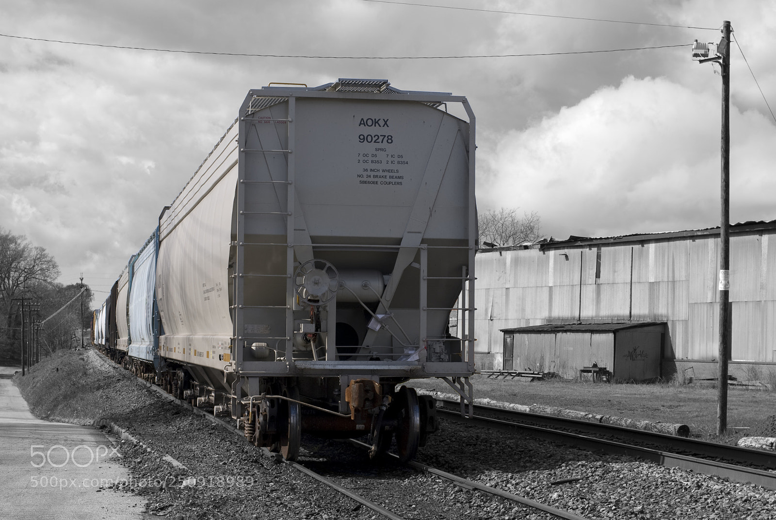 Nikon D60 sample photo. Train blackwhite photography