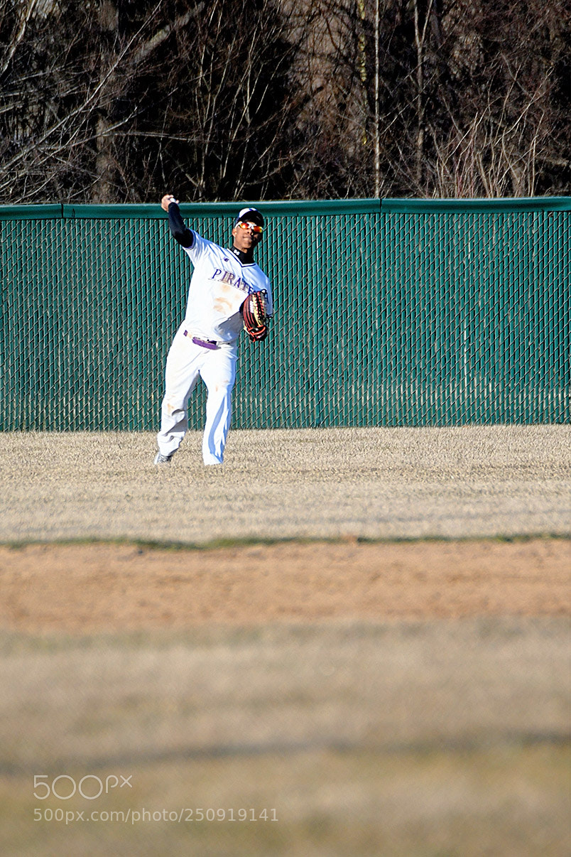 Nikon D500 sample photo. 3-22_0334.jpg photography