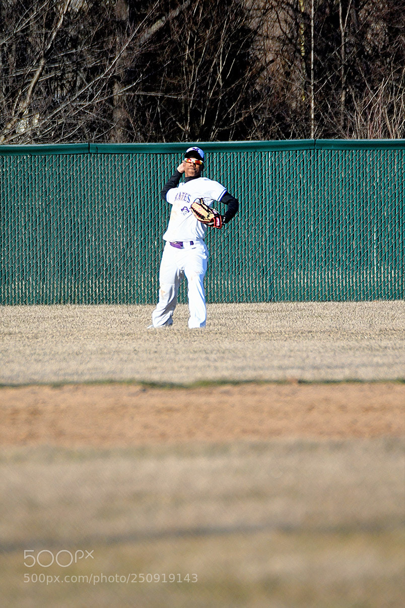 Nikon D500 sample photo. 3-22_0333.jpg photography