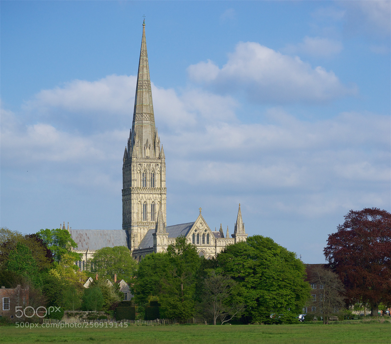 Sony a7R sample photo. Salisbury cathedral photography