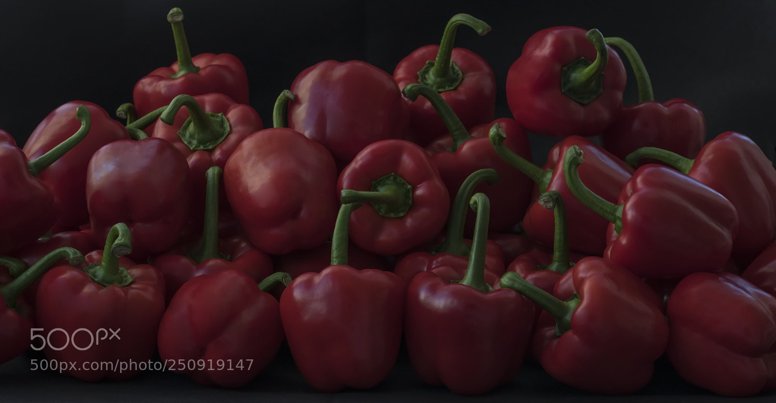 Nikon D850 sample photo. Red pepper photography