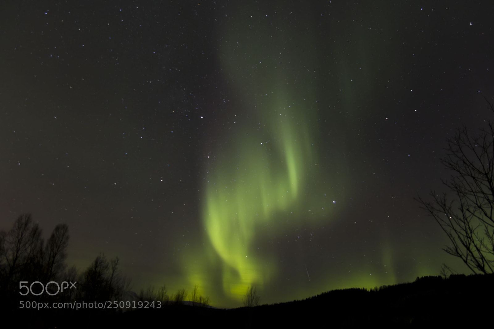 Canon EOS 750D (EOS Rebel T6i / EOS Kiss X8i) sample photo. Aurora borealis @ svensby photography