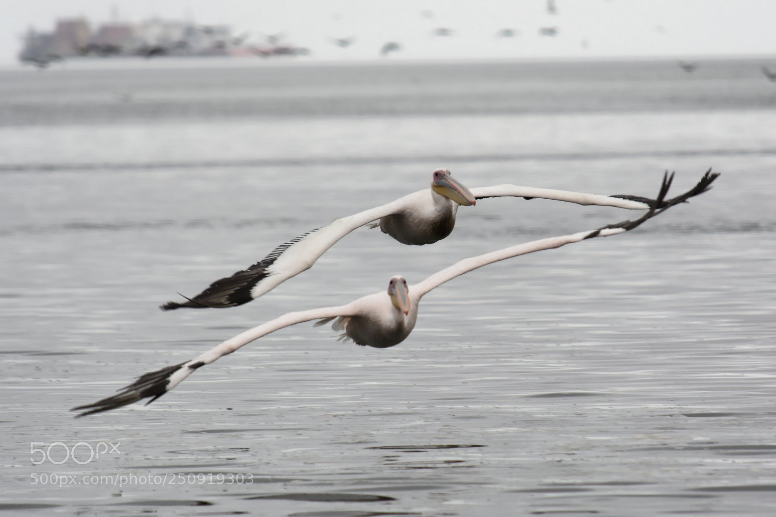 Nikon D7100 sample photo. Dxo photography