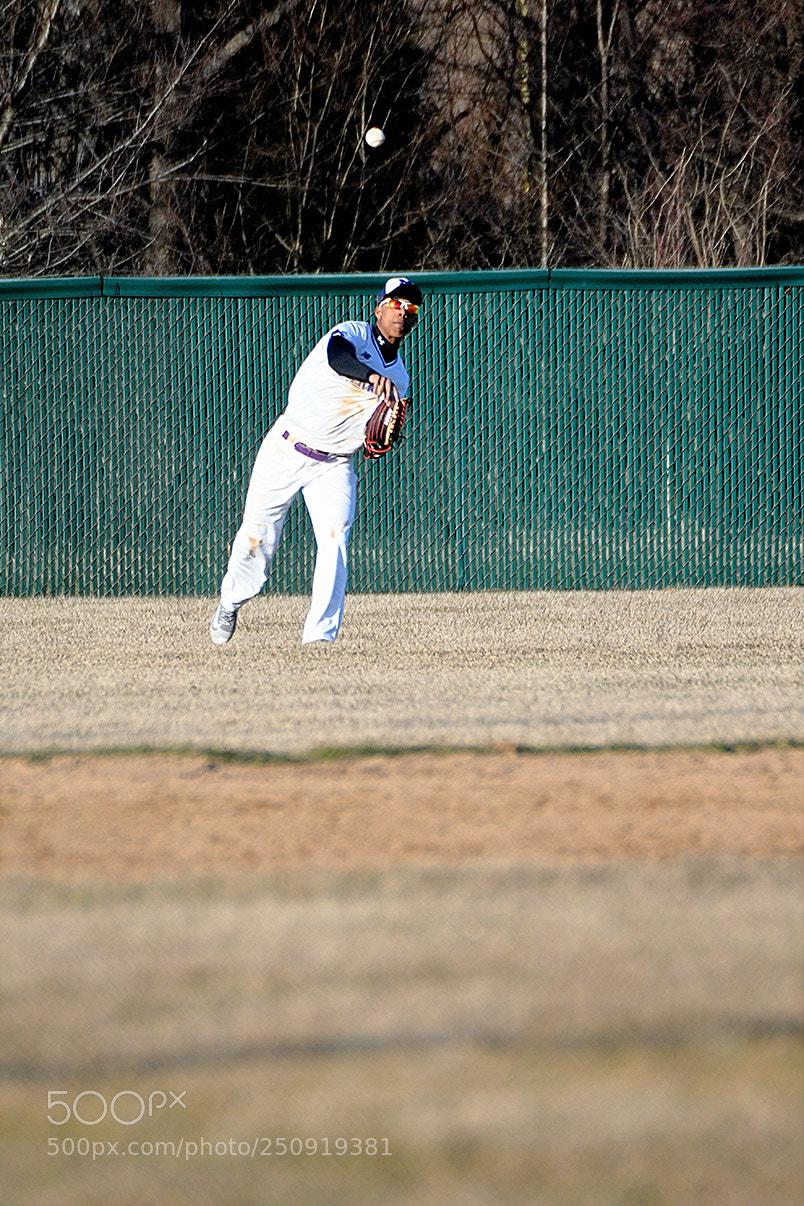 Nikon D500 sample photo. 3-22_0335.jpg photography