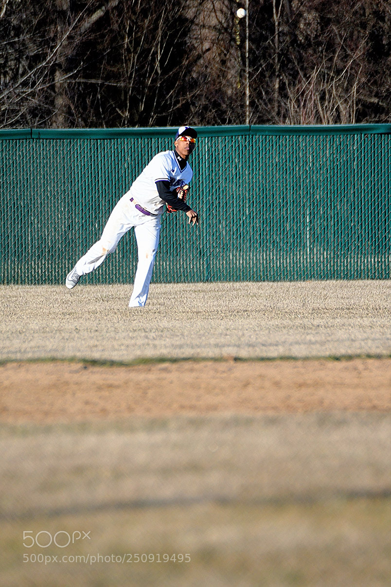 Nikon D500 sample photo. 3-22_0336.jpg photography