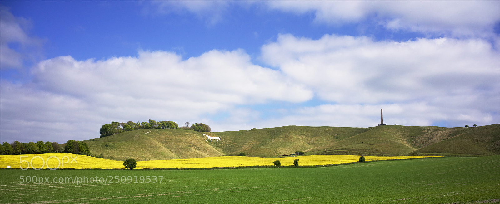 Sony a7R sample photo. White horse cherhill photography