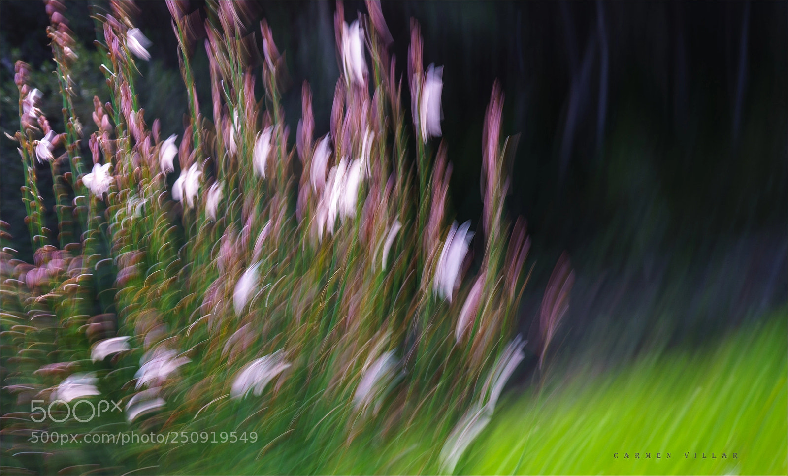 Sony a7R sample photo. Springtime in atzaró photography