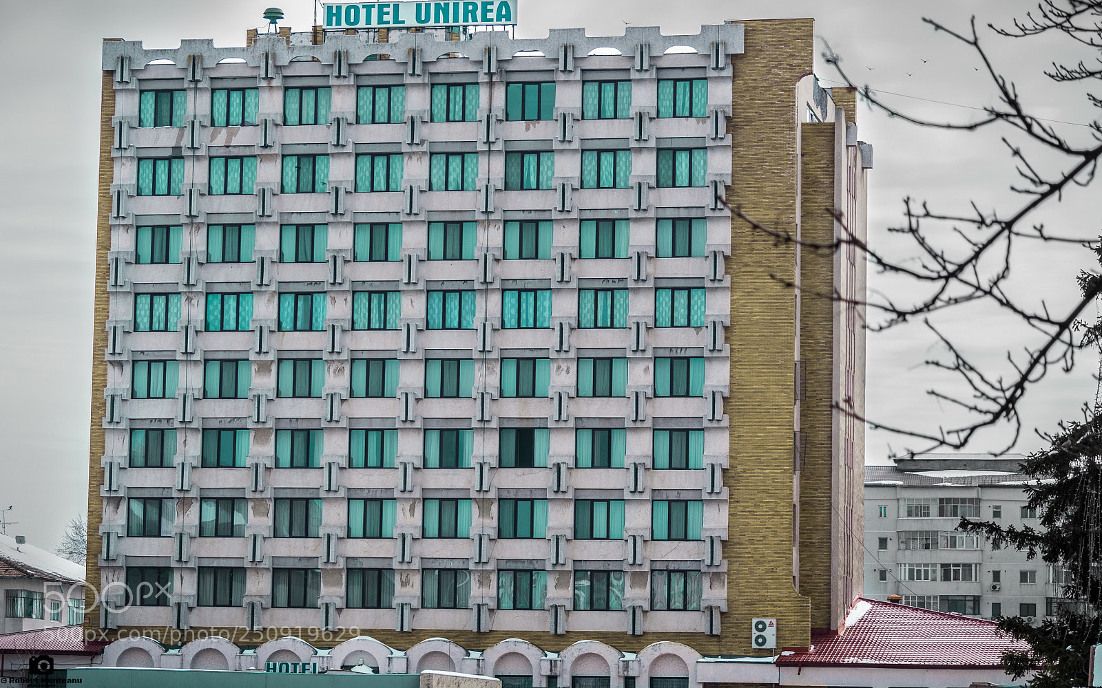 Nikon D3100 sample photo. Untitled photography