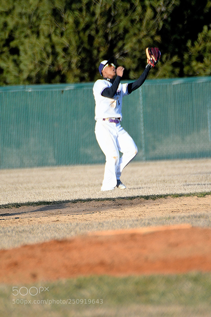 Nikon D500 sample photo. 3-22_0337.jpg photography