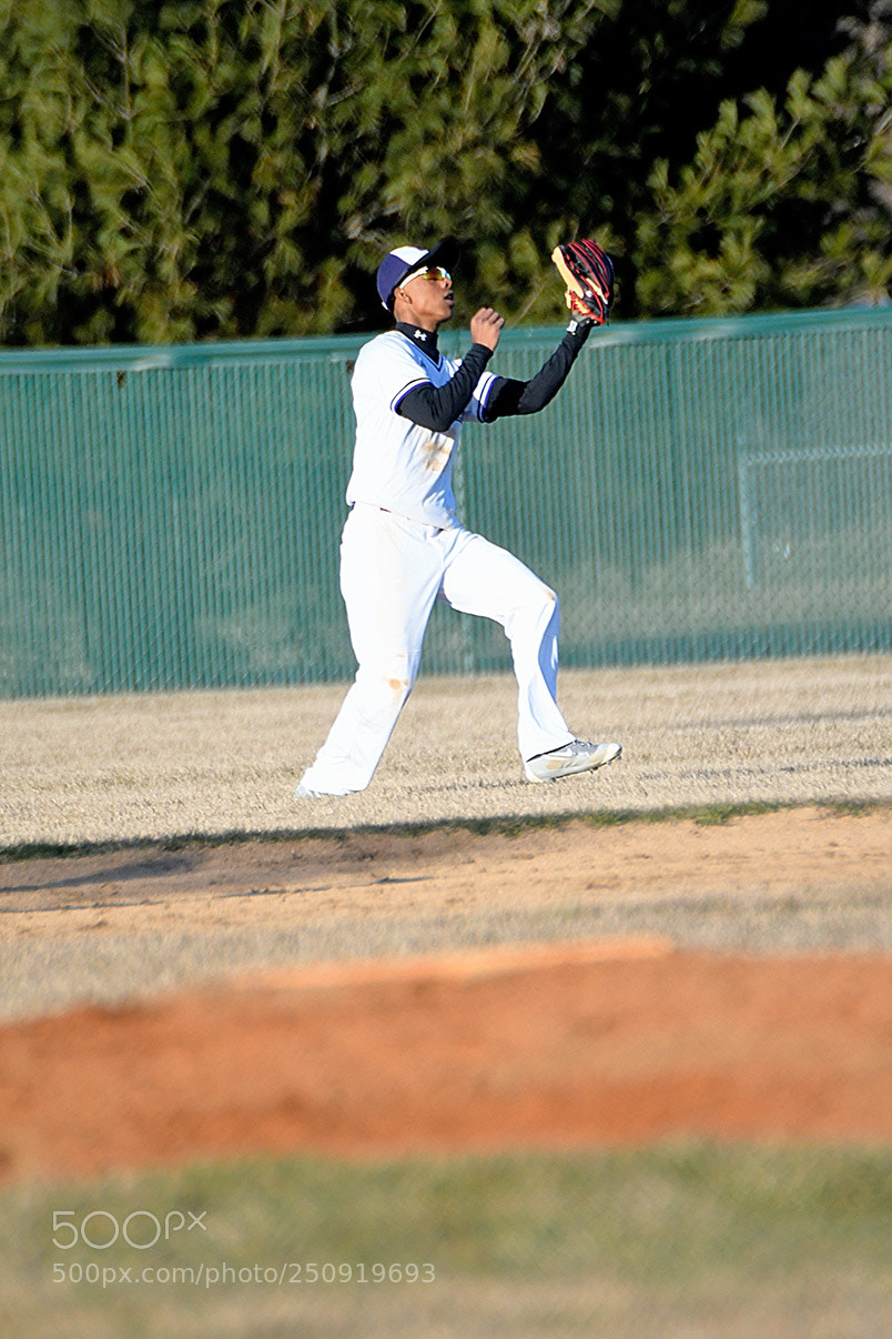Nikon D500 sample photo. 3-22_0338.jpg photography