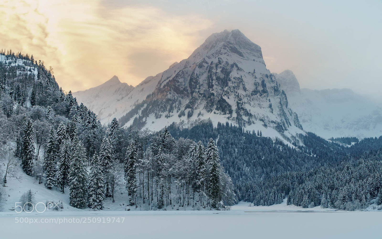 Sony a6500 sample photo. Brünnelistock photography