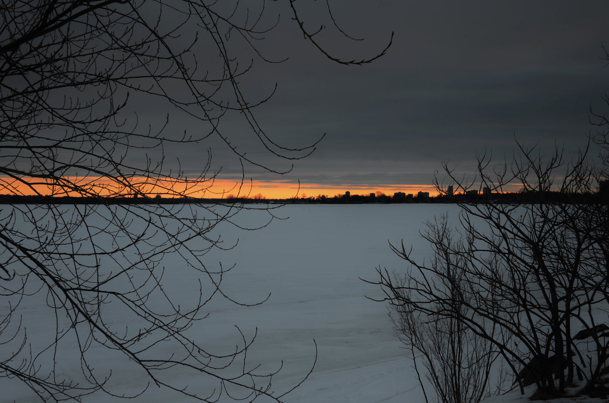 Nikon D7000 sample photo. (cold morning) photography